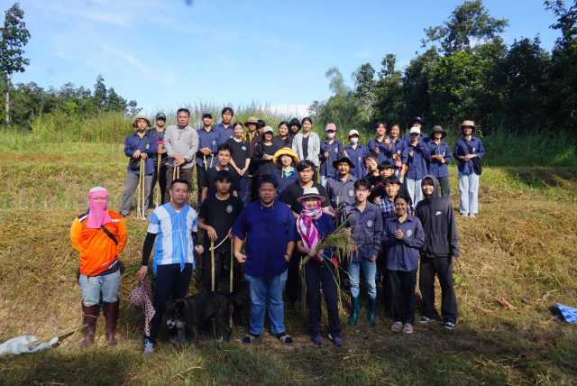 คณะเทคโนโลยีการเกษตร ม.ราชภัฏเชียงใหม่ จัดกิจกรรมสืบสานประเพณีเกี่ยว (กับ) ข้าวใหม่