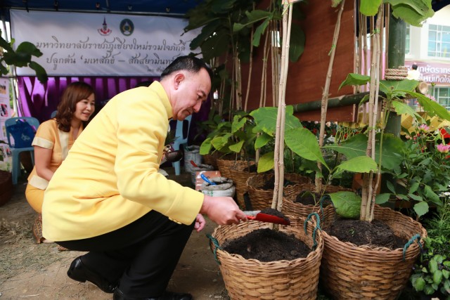 สำนักงานบริหารศูนย์แม่ริม มร.ชม. จัดกิจกรรม “รวมใจภักดิ์ ปลูกต้นมเหสักข์ - สักสยามินทร์”