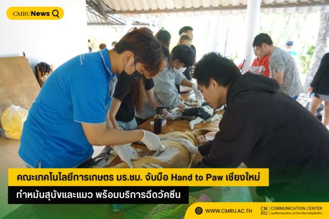 คณะเทคโนโลยีการเกษตร มร.ชม. จับมือ Hand to Paw เชียงใหม่ ทำหมันสุนัขและแมว พร้อมบริการฉีดวัคซีน