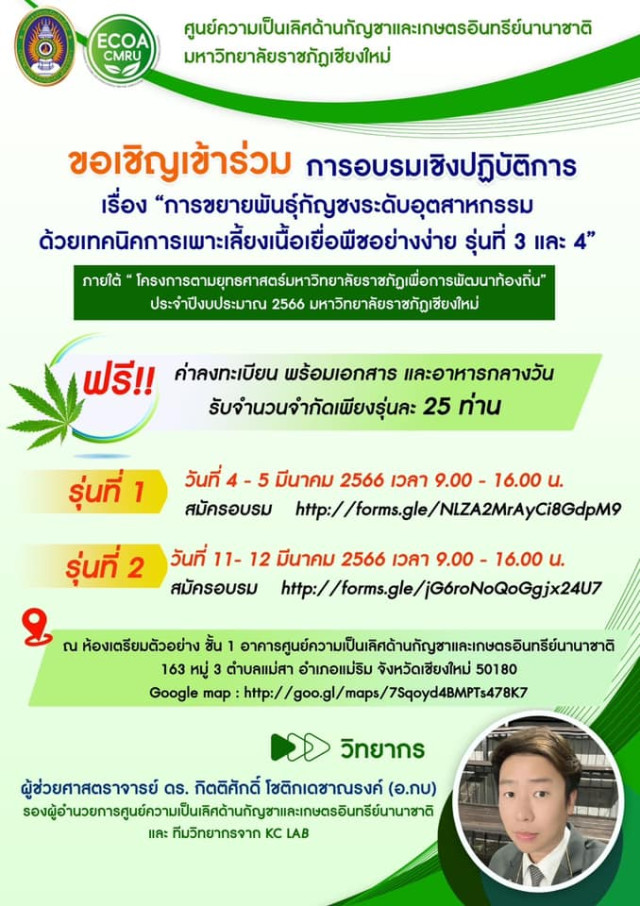 ศูนย์ความเป็นเลิศด้านกัญชาและเกษตรอินทรีย์นานาชาติ ม.ราชภัฏเชียงใหม่ เชิญชวนผู้สนใจอบรมการขยายพันธุ์กัญชงระดับอุตสาหกรรมฯ ฟรี !!! ไม่มีค่าใช้จ่าย