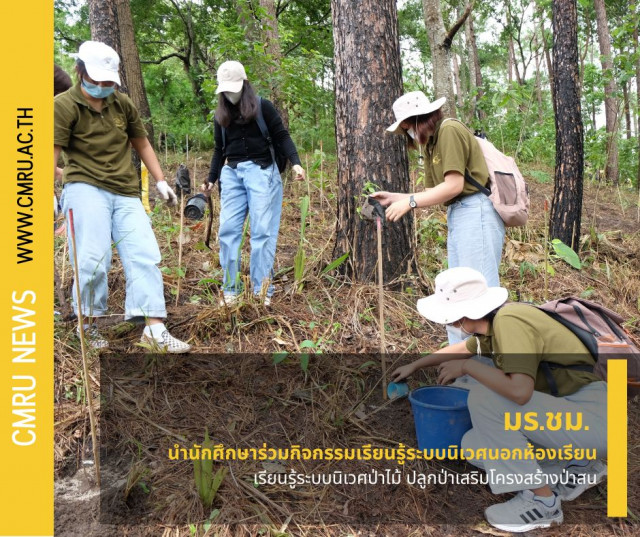 มร.ชม. นำนักศึกษาร่วมกิจกรรมเรียนรู้ระบบนิเวศนอกห้องเรียน  เรียนรู้ระบบนิเวศป่าไม้ ปลูกป่าเสริมโครงสร้างป่าสน